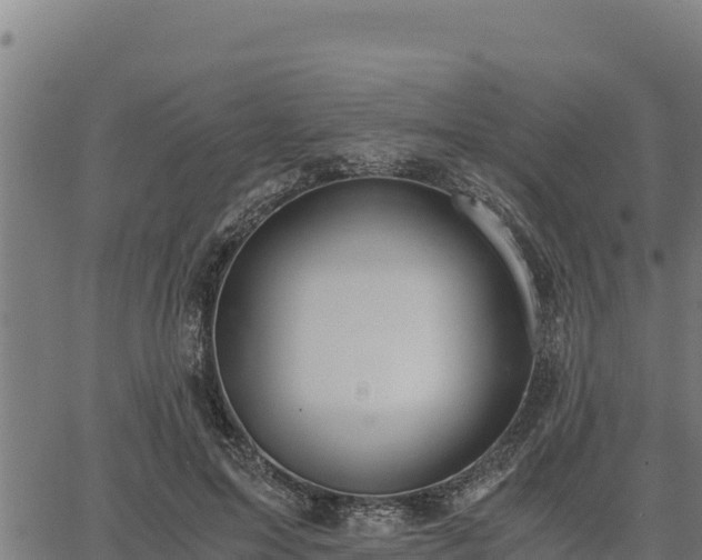 X0000067000599200603311616