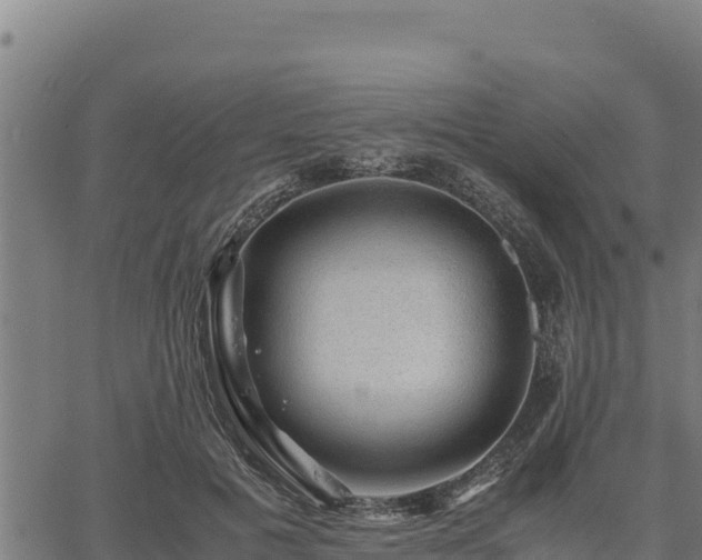 X0000067000601200603311616