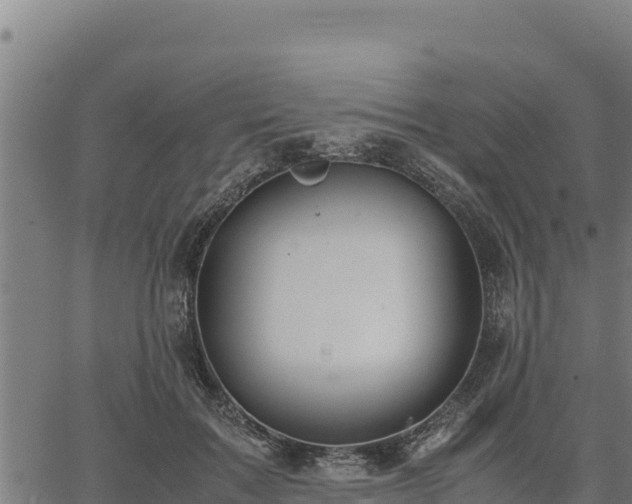 X0000067000603200603311616