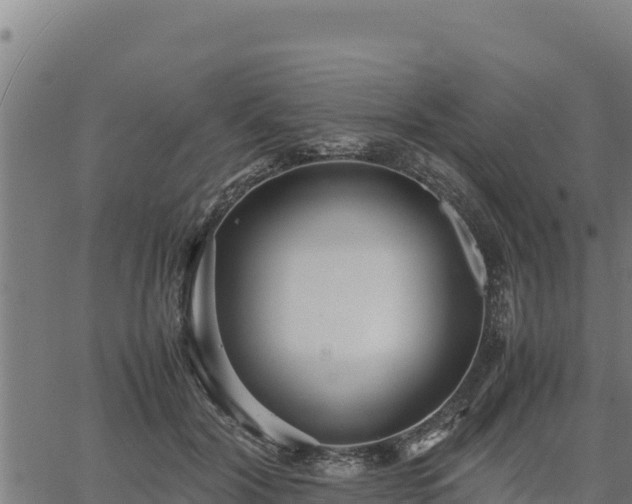 X0000067000604200603311616