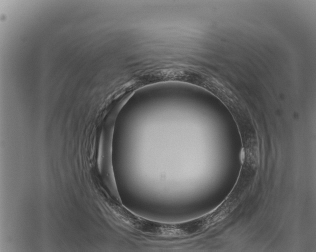 X0000067000605200603311616