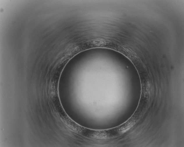 X0000067000606200603311616