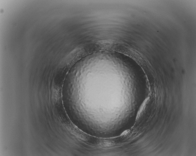 X0000067000610200603311616