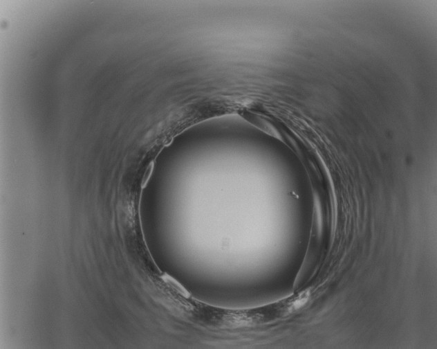 X0000067000613200603311616