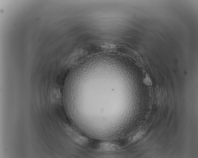 X0000067000614200603311616