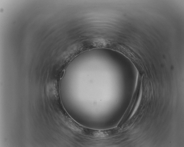 X0000067000616200603311616