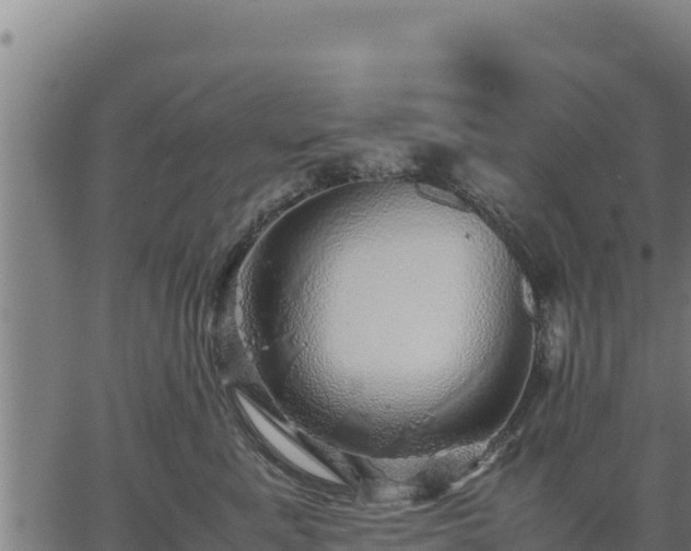 X0000067000619200603311616