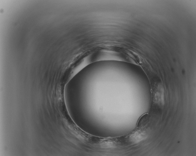 X0000067000620200603311616