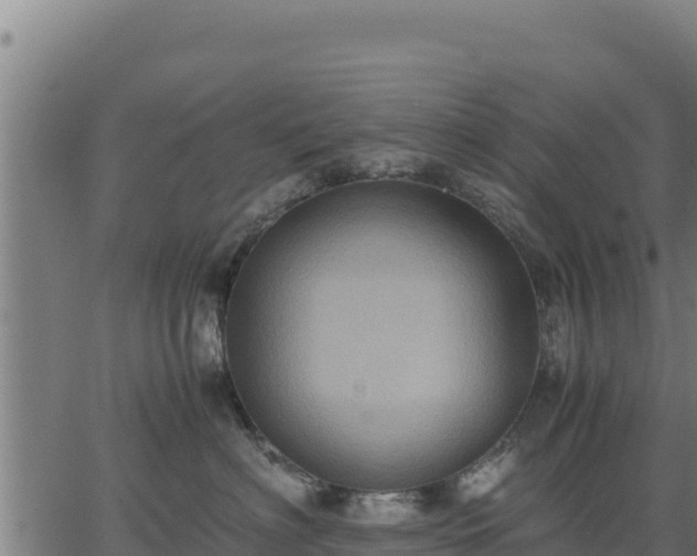 X0000067000622200603311616