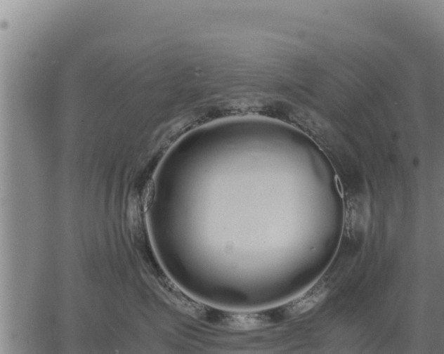 X0000067000623200603311616