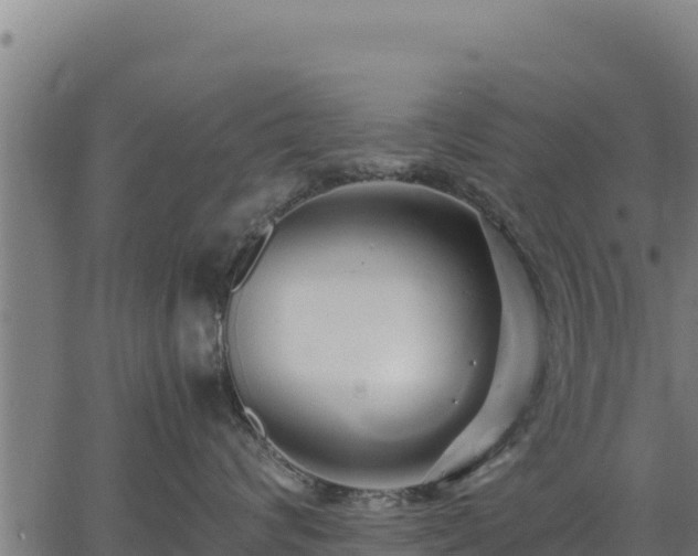 X0000067000624200603311616