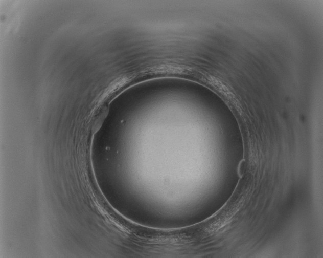 X0000067000625200603311615