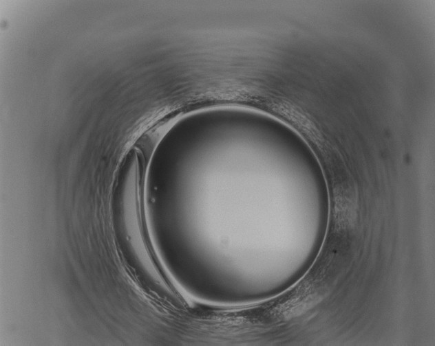 X0000067000626200603311615