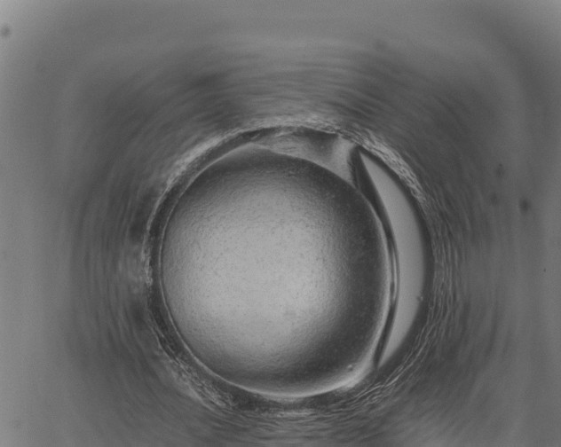 X0000067000628200603311615