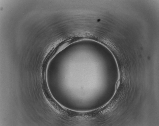 X0000067000630200603311615