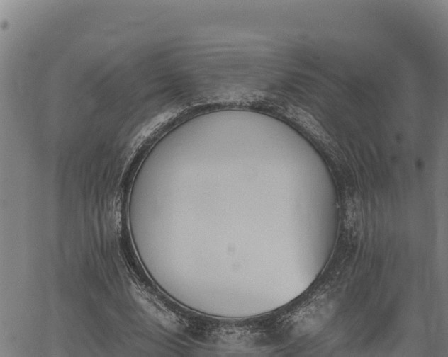 X0000067000632200603311615