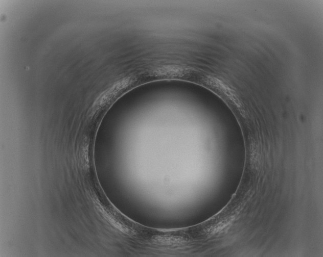 X0000067000633200603311615