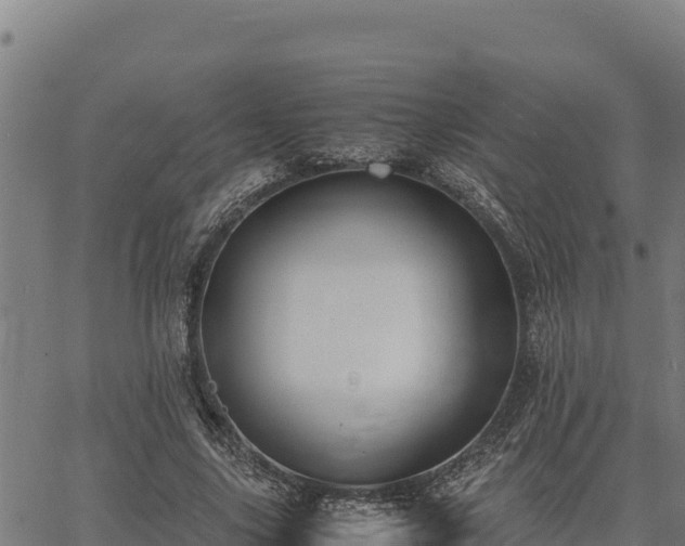 X0000067000635200603311615