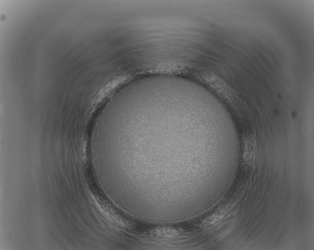 X0000067000636200603311615