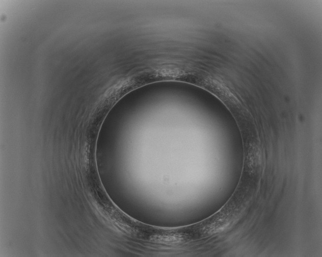 X0000067000639200603311615