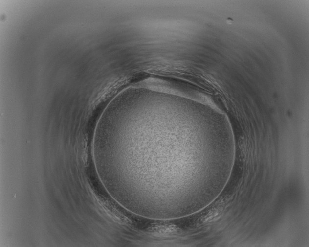 X0000067000642200603311615