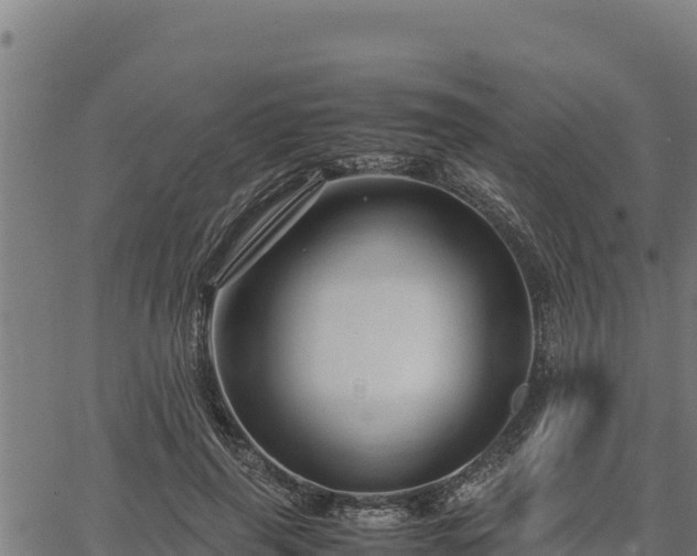 X0000067000645200603311615