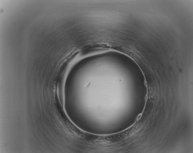 X0000067000648200603311615