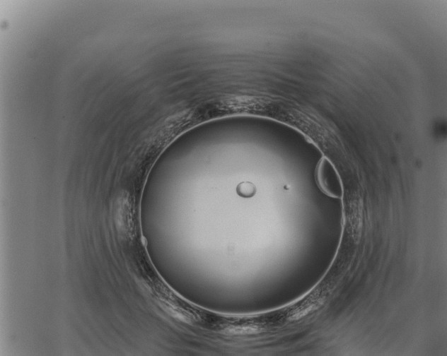 X0000067000653200603311615