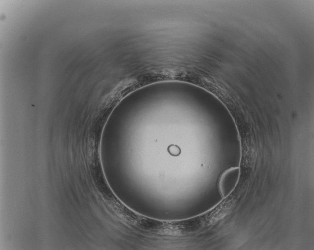 X0000067000656200603311615