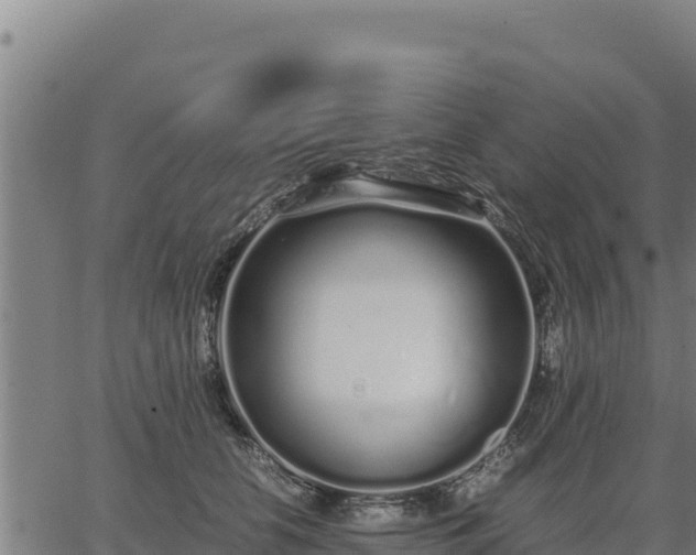 X0000067000658200603311615