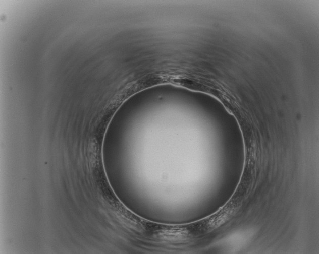 X0000067000659200603311615