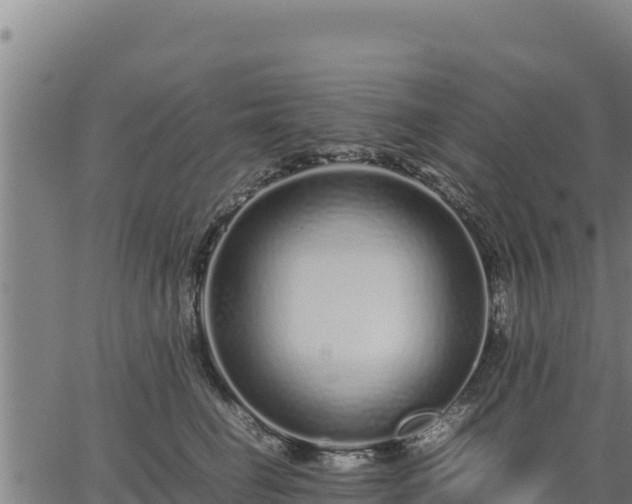 X0000067000662200603311616