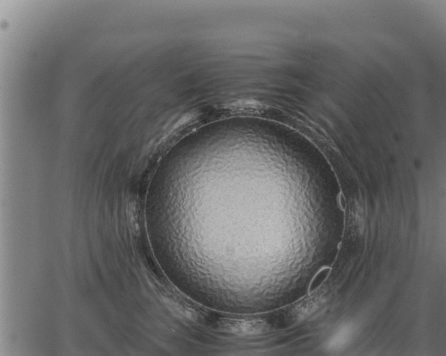 X0000067000663200603311616