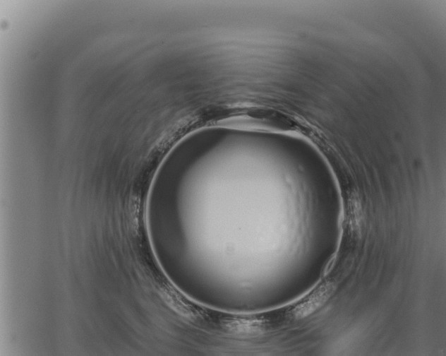 X0000067000664200603311616