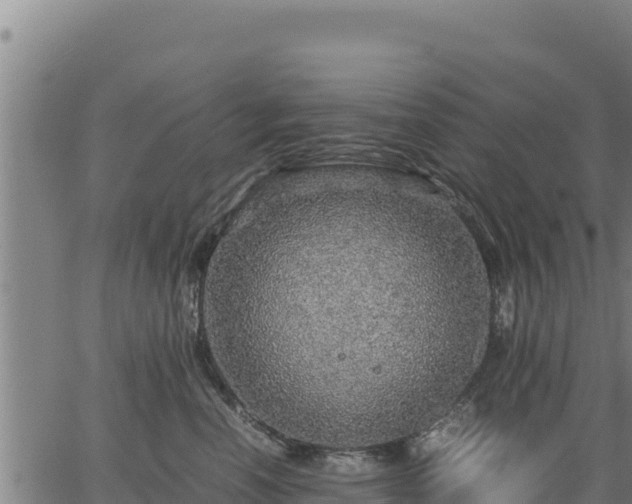 X0000067000666200603311616