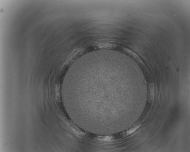 X0000067000667200603311616