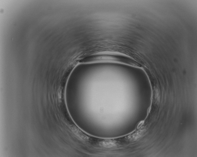 X0000067000668200603311616