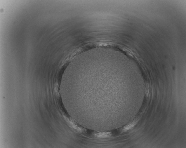 X0000067000670200603311616