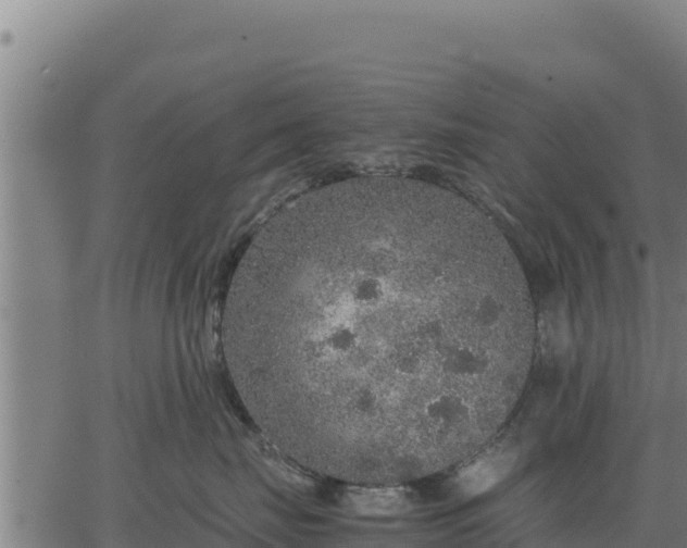 X0000067000671200603311616