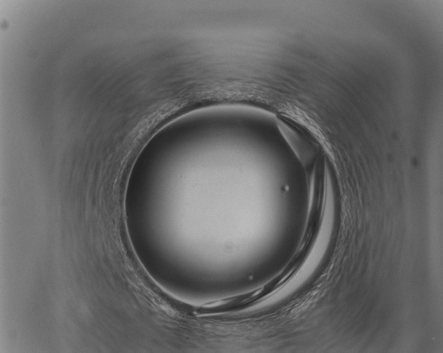 X0000067000673200603311615