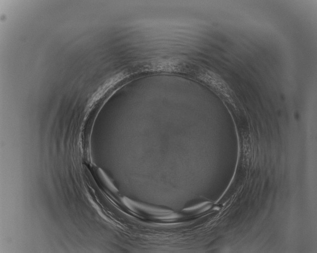 X0000067000674200603311615