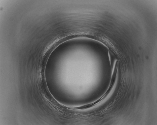 X0000067000676200603311615