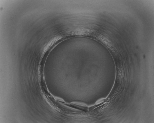 X0000067000678200603311615