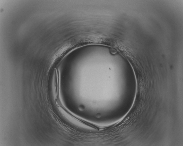 X0000067000679200603311615