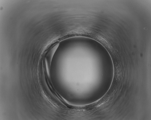 X0000067000680200603311615