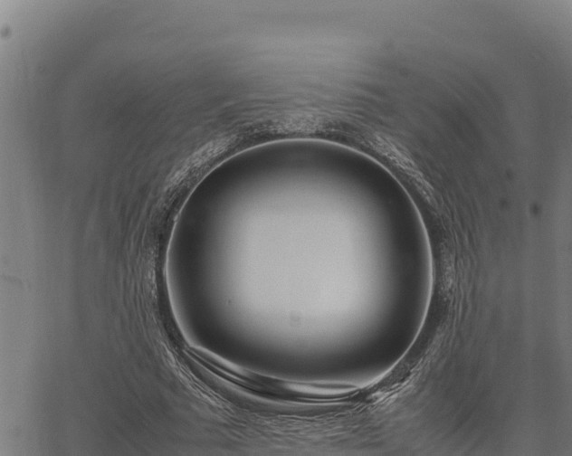 X0000067000681200603311615