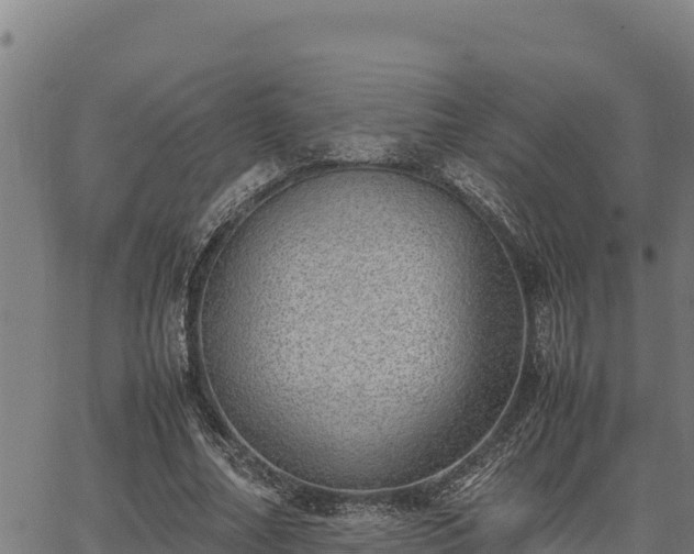 X0000067000682200603311615