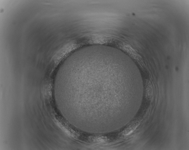 X0000067000683200603311615