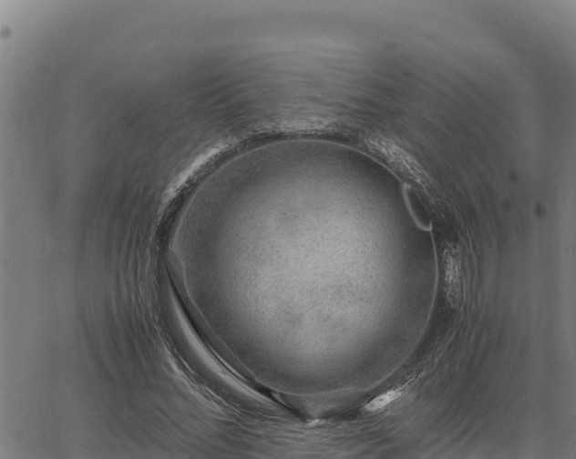 X0000067000684200603311615