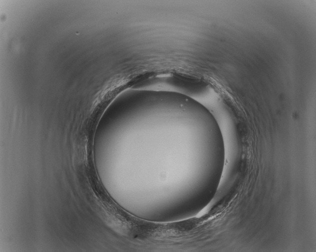 X0000067000685200603311615